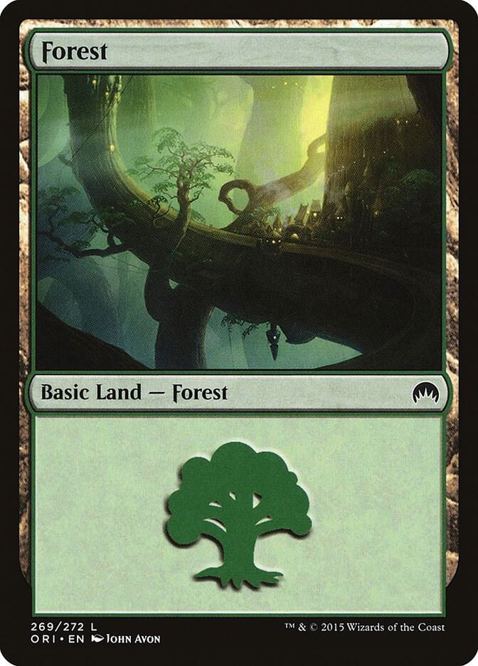 Forest (269)