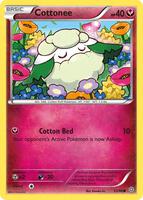 pokemon cards art TCG ART CARD