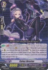 Flying Librarian