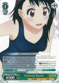 Swimsuit Kosaki