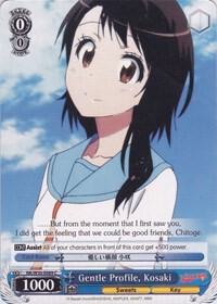 Gentle Profile, Kosaki