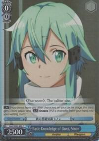 Basic Knowledge of Guns, Sinon (Parallel Foil)