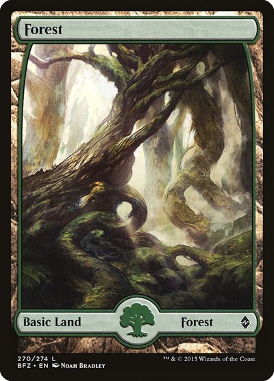 Forest 270 Full Art