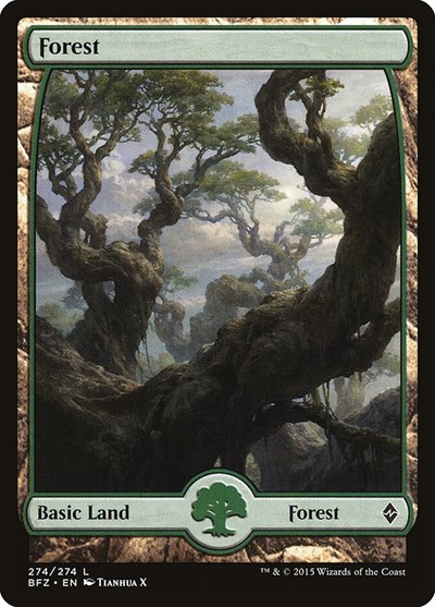 Forest 274 Full Art