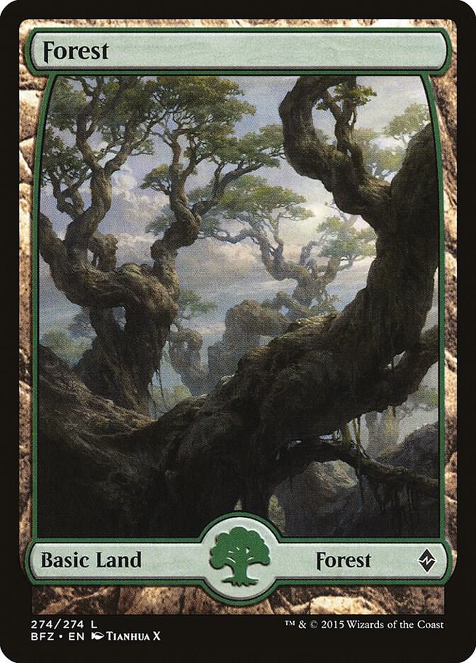 Forest (274) - Full Art - Battle for Zendikar - Magic: The Gathering ...