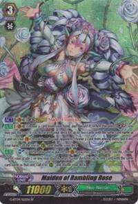 Maiden of Rambling Rose (SP)