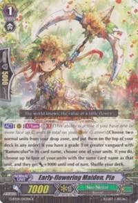 Early-flowering Maiden, Pia