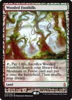 Wooded Foothills - Zendikar Expeditions - Magic: The