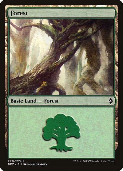 Forest from BFZ #270a, Magic: The Gathering card