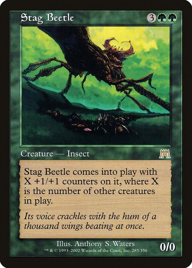 Stag Beetle 285 card