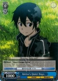 Kirito's Quiet Days