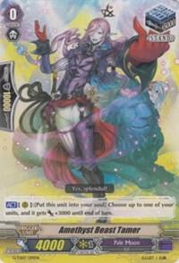 Amethyst Beast Tamer