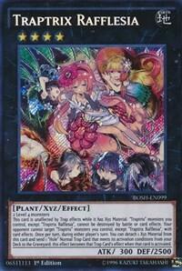 Traptrix Rafflesia
