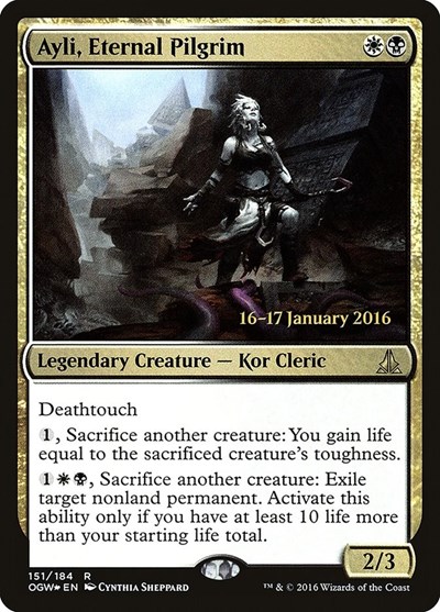 Ayli Eternal Pilgrim