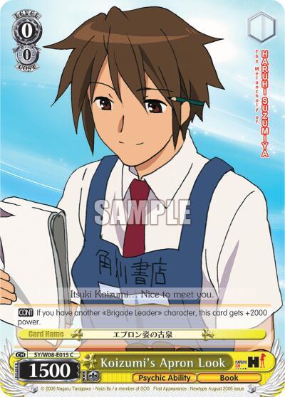 Koizumi's Apron Look