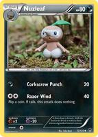 Shuckle - Neo Revelation - Pokemon - TCGplayer.com