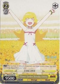Flower Garden Shinobu Oshino