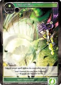 Wall of Wind