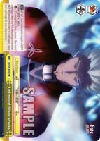 Fate/stay night [Unlimited Blade Works] Vol. II | Weiss