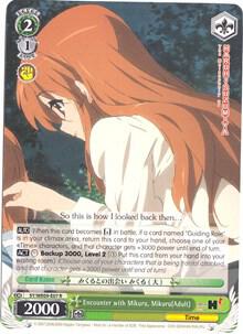 Encounter with Mikuru, Mikuru(Adult)