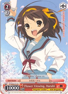 Flower Viewing, Haruhi
