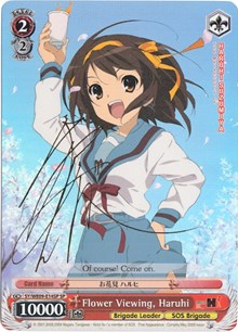 Flower Viewing, Haruhi (SP)