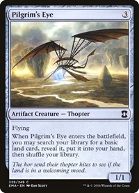 Pilgrim's Eye (Eternal Masters)