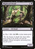 バロウゴイフ/Barrowgoyf 英語 拡張アート リップルFoil Mtg Foil バロウゴイフ 英語 リップルFoil Barrowgoyf (Extended