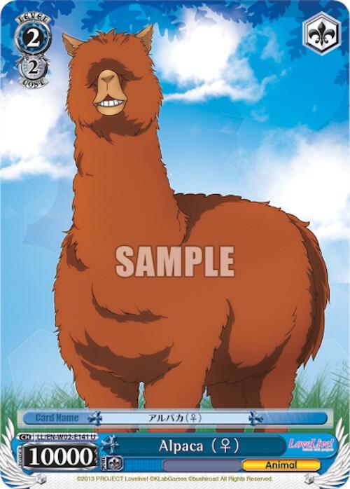 Alpaca (F)