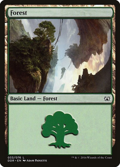 Forest 033