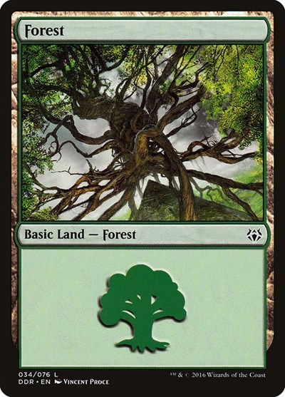 Forest 034