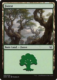 Forest (035)