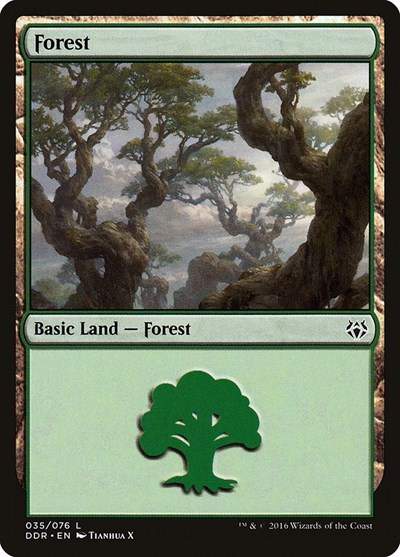 Forest 035