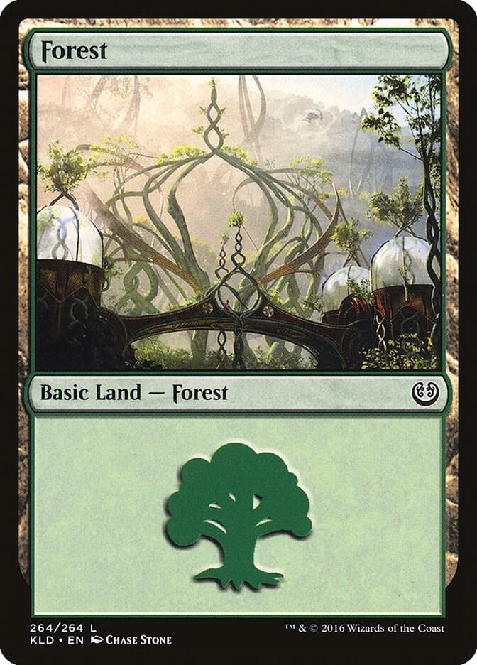 Forest (264)