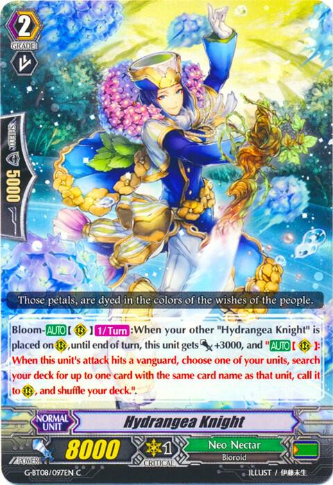 Hydrangea Knight