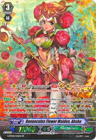 Ranunculus Flower Maiden, Ahsha (SP)