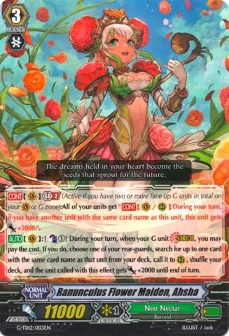 Ranunculus Flower Maiden, Ahsha