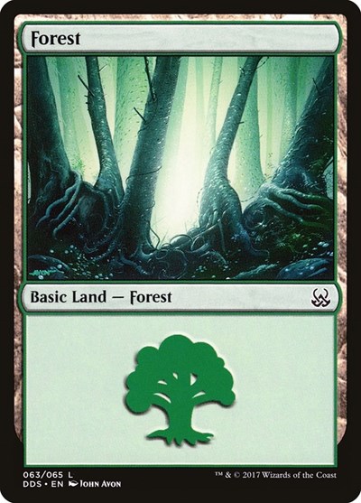 Forest 063