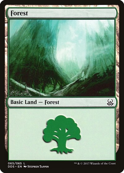 Forest 065
