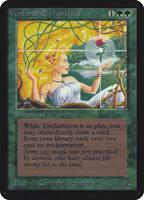 Verduran Enchantress - Alpha Edition - Magic: The Gathering