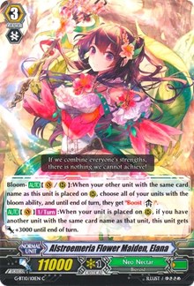 Alstroemeria Flower Maiden, Elana