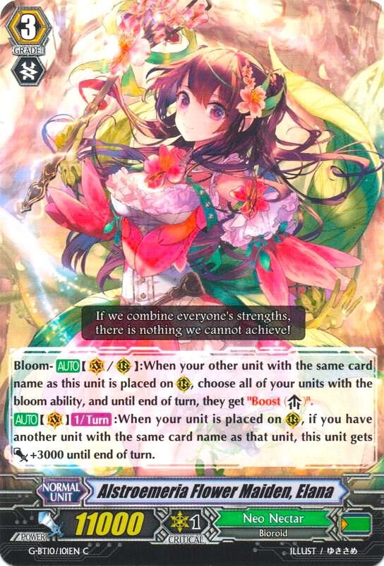 Alstroemeria Flower Maiden, Elana