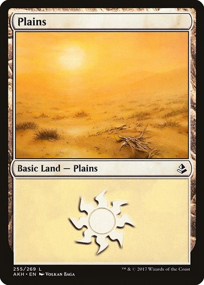 Plains (255)