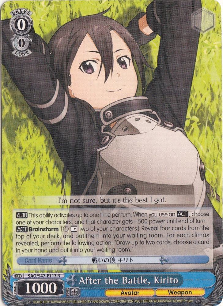 After the Battle, Kirito
