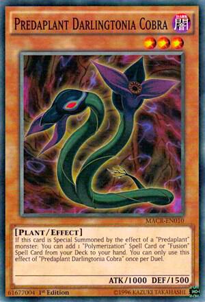 Predaplant Darlingtonia Cobra - Maximum Crisis - YuGiOh