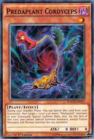 yugioh maximum crisis card list YU-GI-OH! / Fairy Tail But that is not the only type of Summoning that is evolving Maximum Crisis | YuGiOh |
