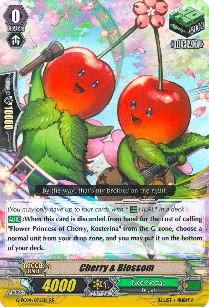 Cherry & Blossom
