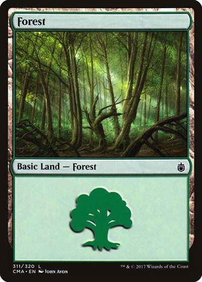 Forest (311)