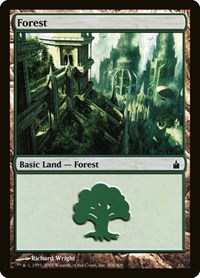 Forest (306) (Ravnica: City of Guilds)