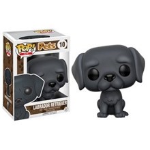 Labrador Retriever (Black)